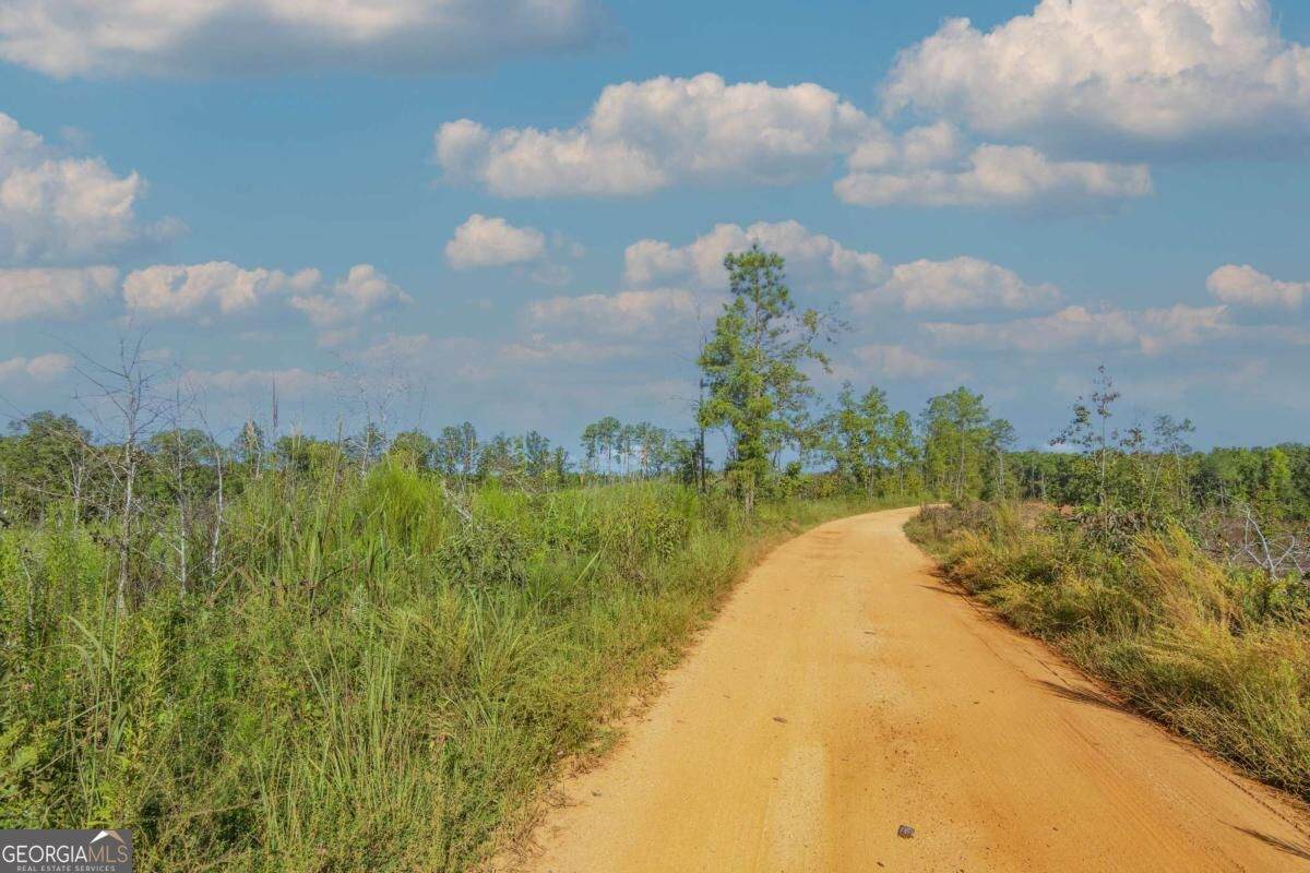 TRACT 7 Carlisle Gap Road - Photo 1