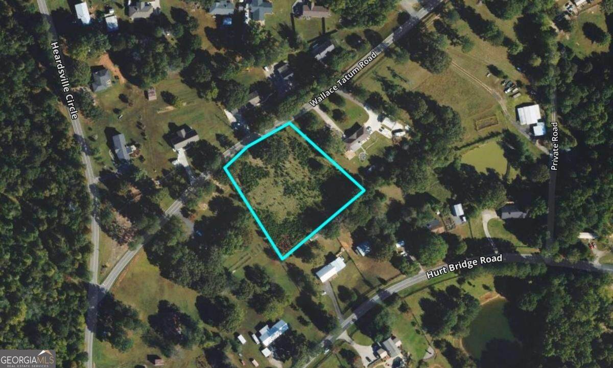 0 Wallace Tatum Road - Photo 1