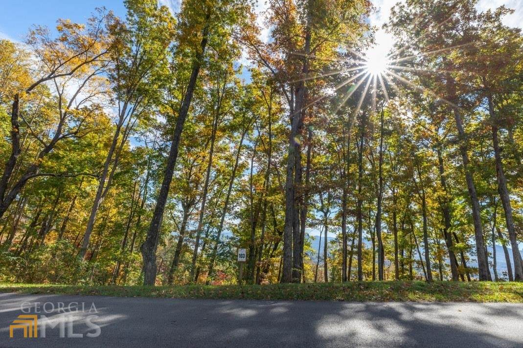LOT 103 Highland Park - Photo 1