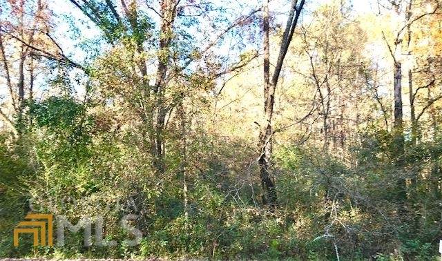 LOT 44 & 45 Riverbend Drive - Photo 1