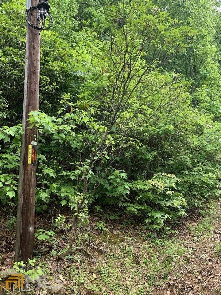 0 E Matterhorn Dr Common - Photo 1