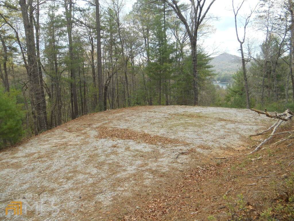 0 Brenary Lane - Photo 1