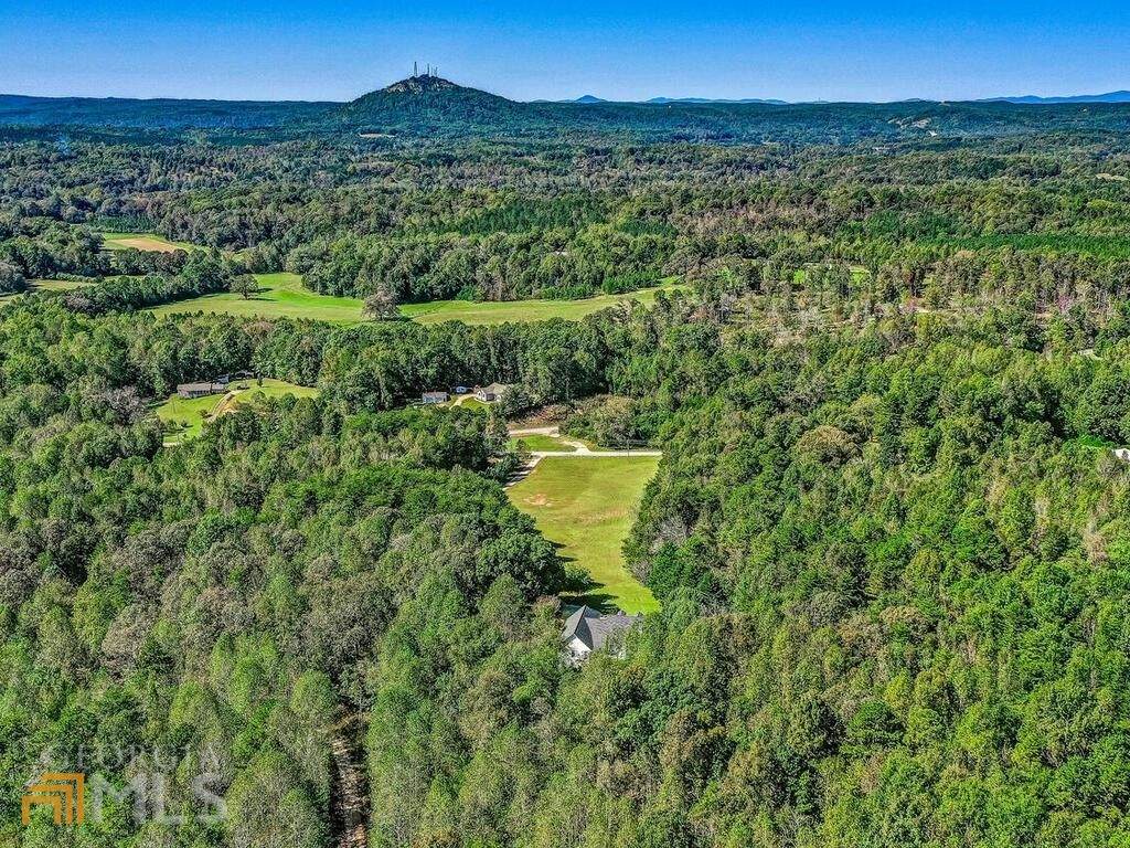 0831 Old Mize Road - Photo 1