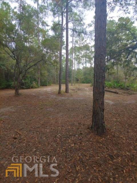 LOT 45 St. Marys River Bluff Road - Photo 1