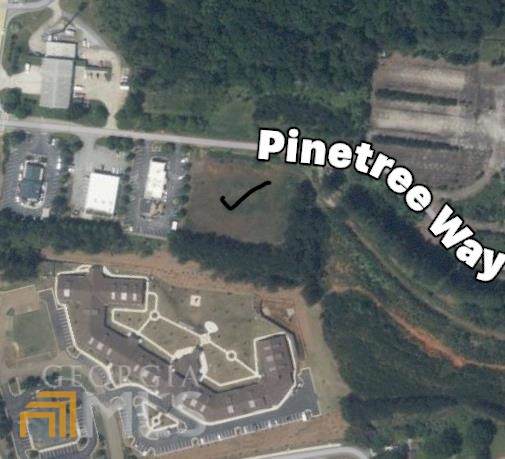 0 Pine Tree - Photo 1