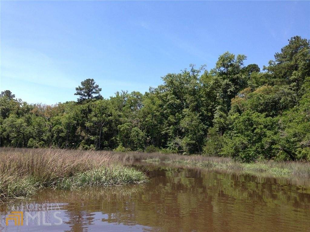 51 Bluffs Landing - Photo 1