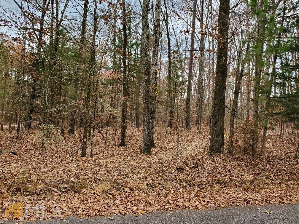 LOT 25 BLOCK C Forest Lake Estates Dr - Photo 1