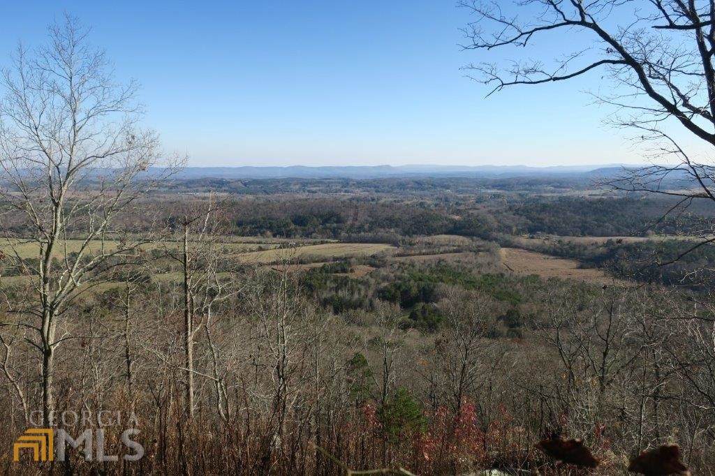 421 Brow Drive - Photo 1
