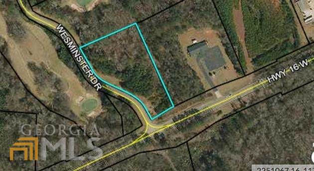 0 Newnan Road - Photo 1