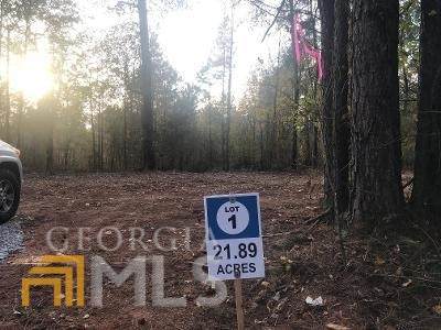 0 Highway 87 - Photo 1