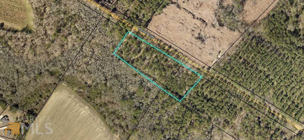 0 Josh Hagin Rd - Photo 1