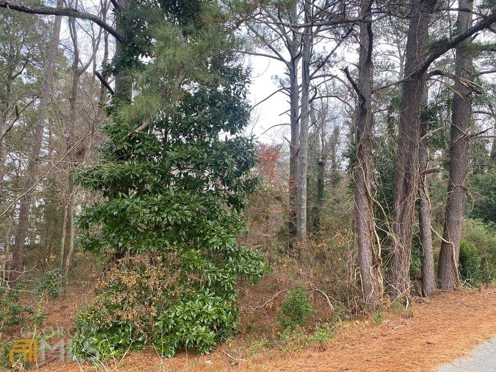 2578 Lake Capri Dr - Photo 1