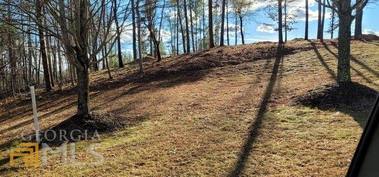 0 Currahee Club Drive - Photo 1