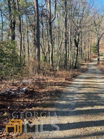 0 Yonah View - Photo 1
