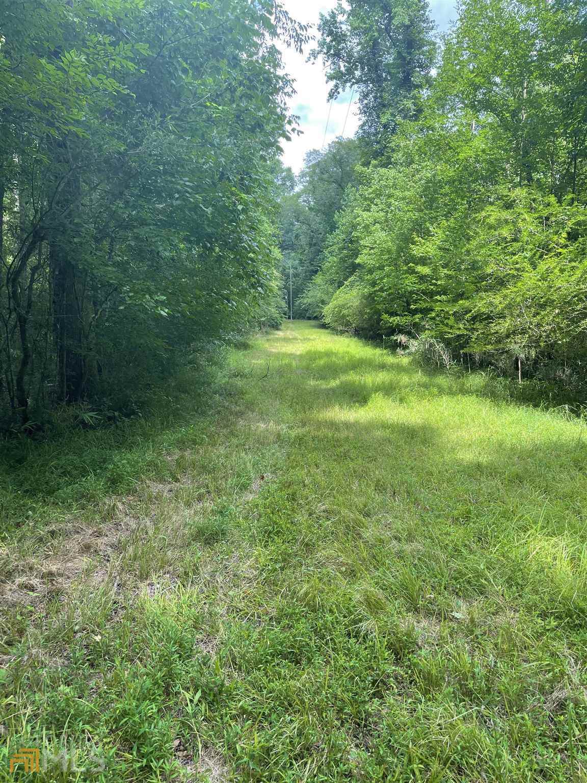 11125 Highway 87 - Photo 1