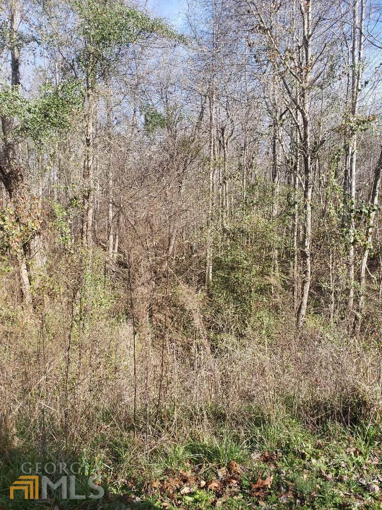 182 Morningside Drive - Photo 1