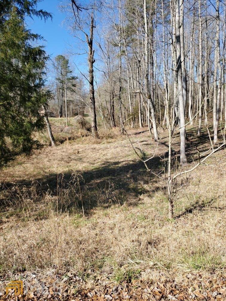 3970 Old Hwy 431 - Photo 1