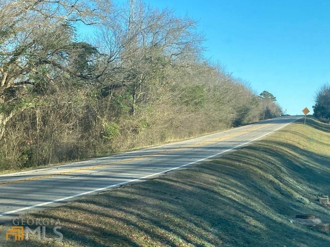 001 Ga Hwy 85/Millarden Rd. Highway - Photo 1