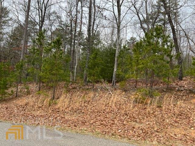 LOT 43 Sharptop Settlement - Photo 1