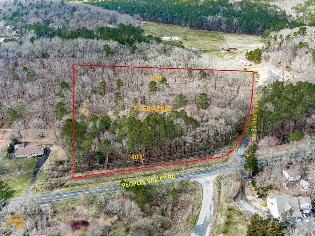 0 Peeples Valley Road - Photo 1