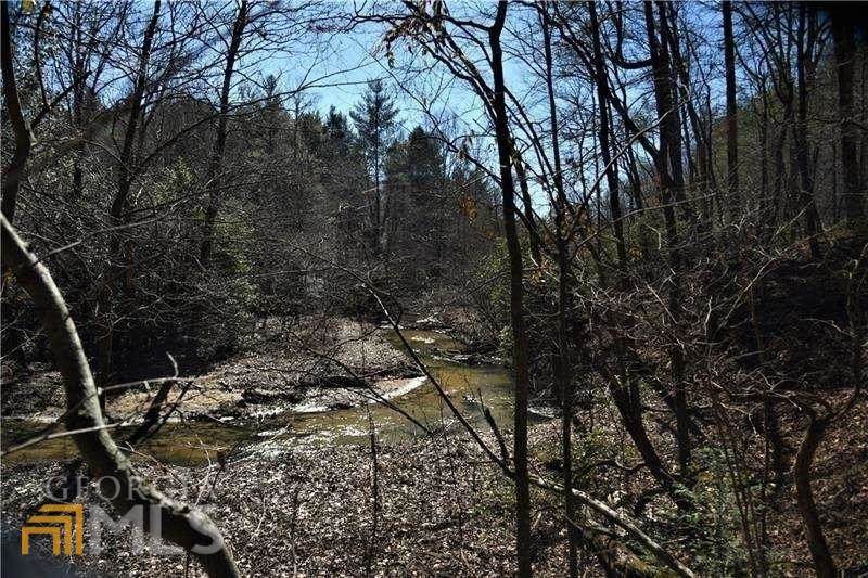 0 Harrison Sluder Road - Photo 1
