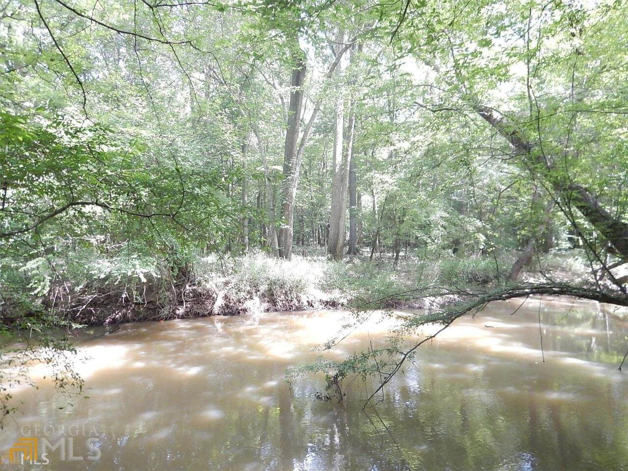 0 Bear Creek Trail - Photo 1