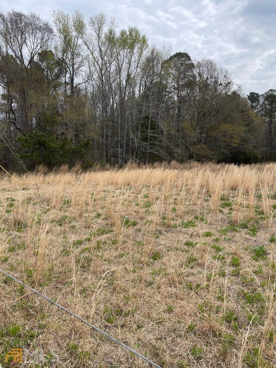 LOT 1 10296 Hwy 19 N Highway - Photo 1
