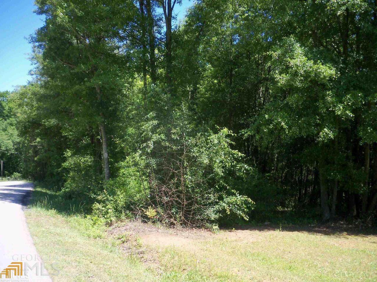 333 Springdale Drive - Photo 1