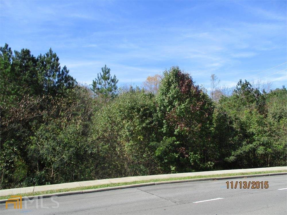 TRACT 1 Haigmill Lake Road - Photo 1