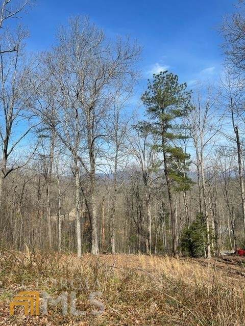 LOT 8 Crestwood View - Photo 1
