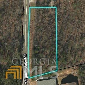 TRACT 3 Haigmill Lake Road - Photo 1