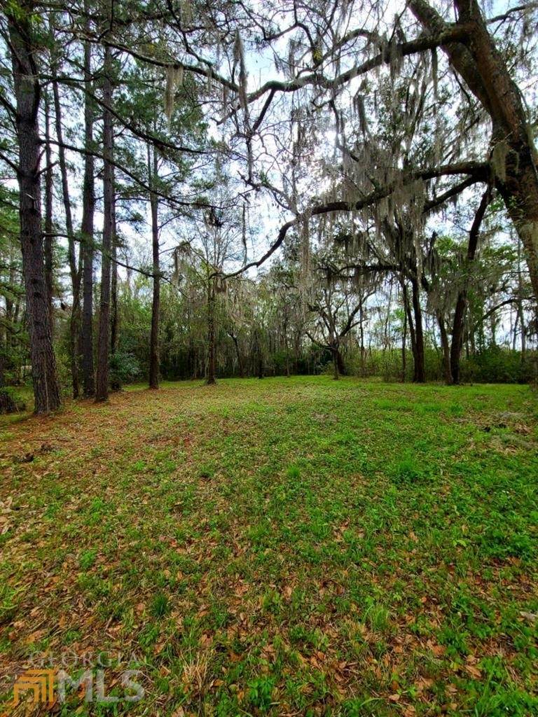 LOT 20 Black Cypress Drive - Photo 1