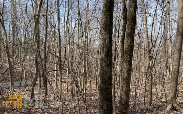 TR 5 Bell Creek Ridge - Photo 1