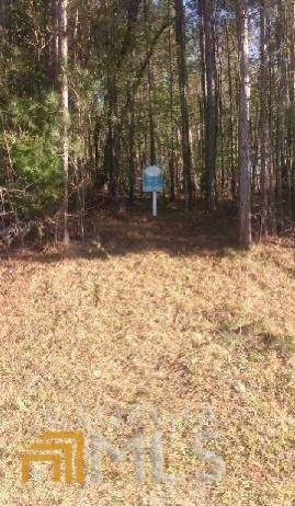 207 River - Photo 1