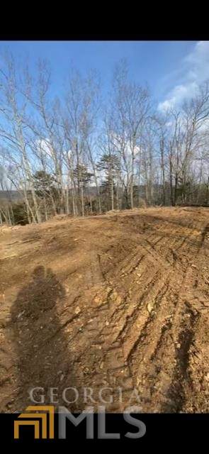 0 Muscadine Lane - Photo 1