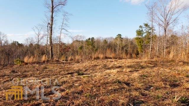 738 Old Mineral Springs Road - Photo 1