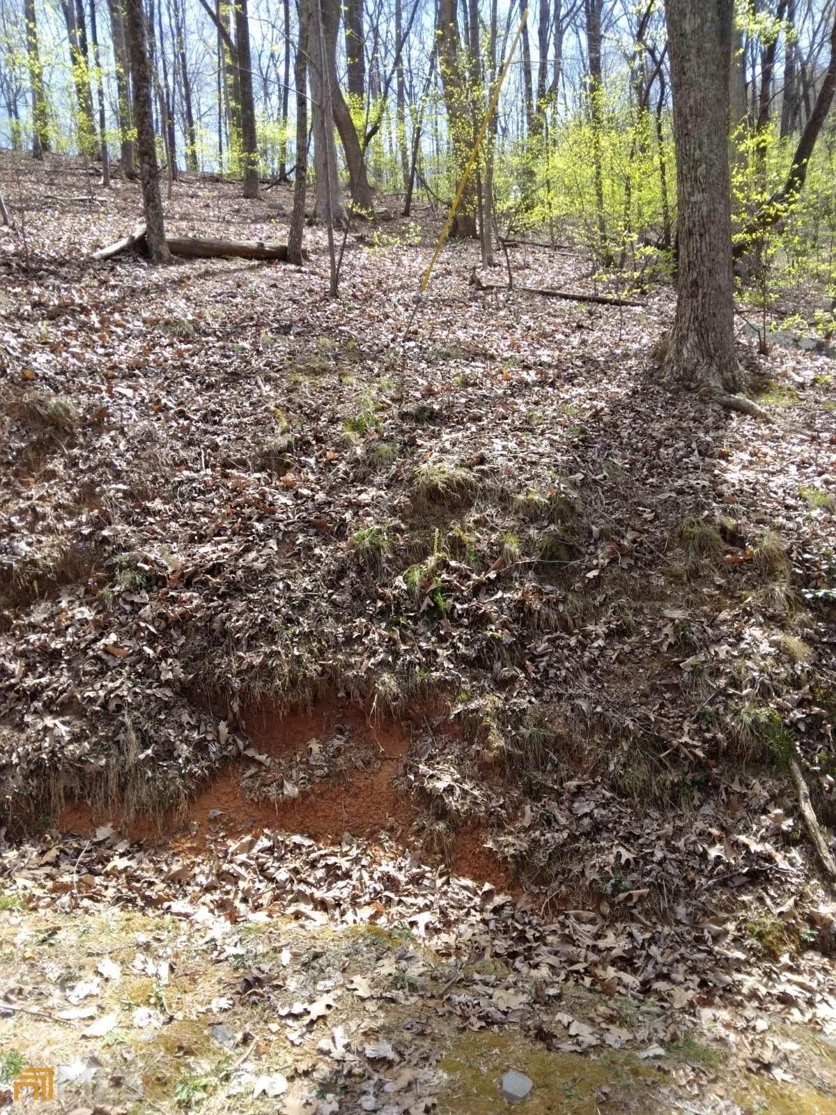 M98 Sleepy Hollow Road - Photo 1