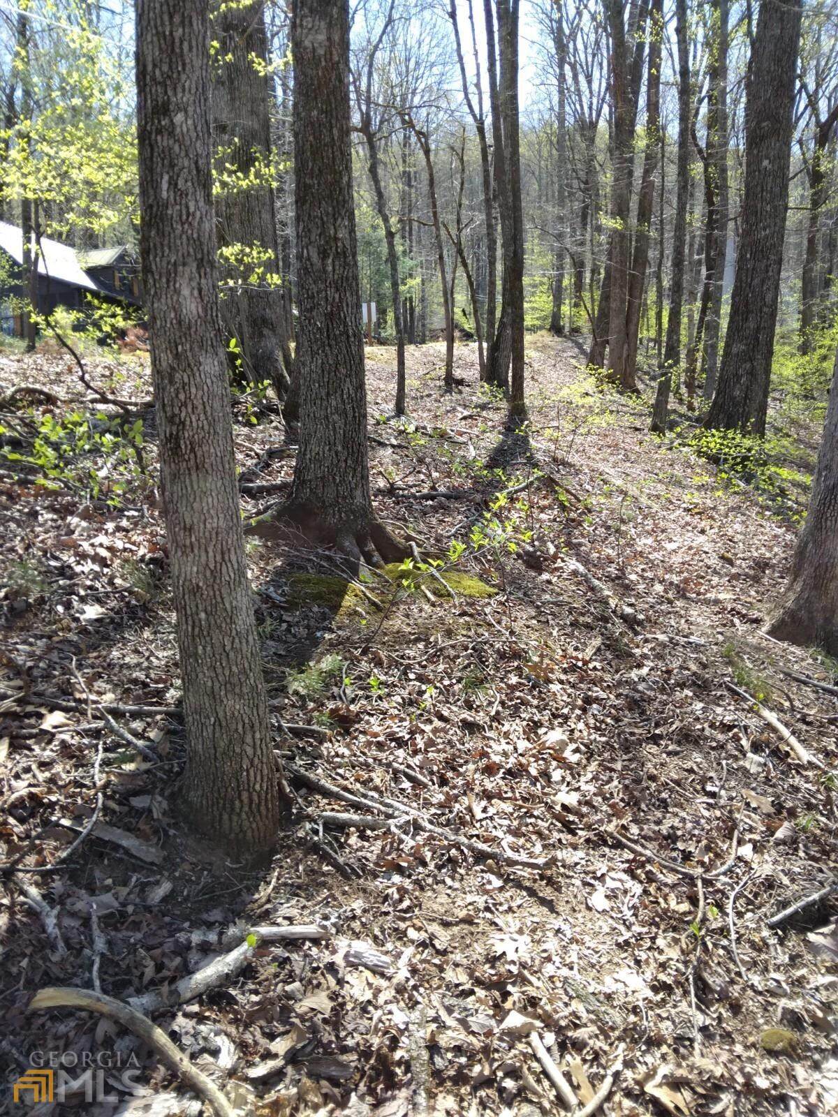 M100 Skyview Drive - Photo 1