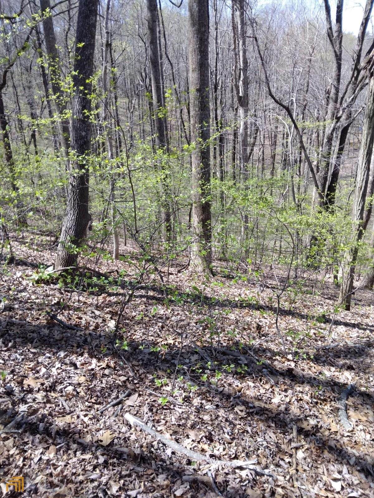 LOT M102 Skyview Drive - Photo 1