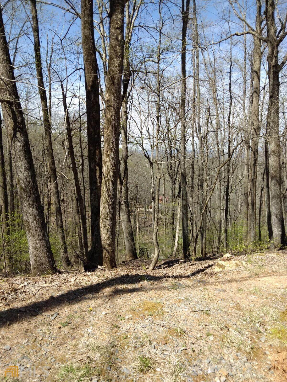 M103 Skyview Drive - Photo 1