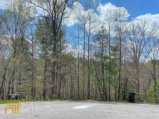 0 Wild Deer Trace - Photo 1