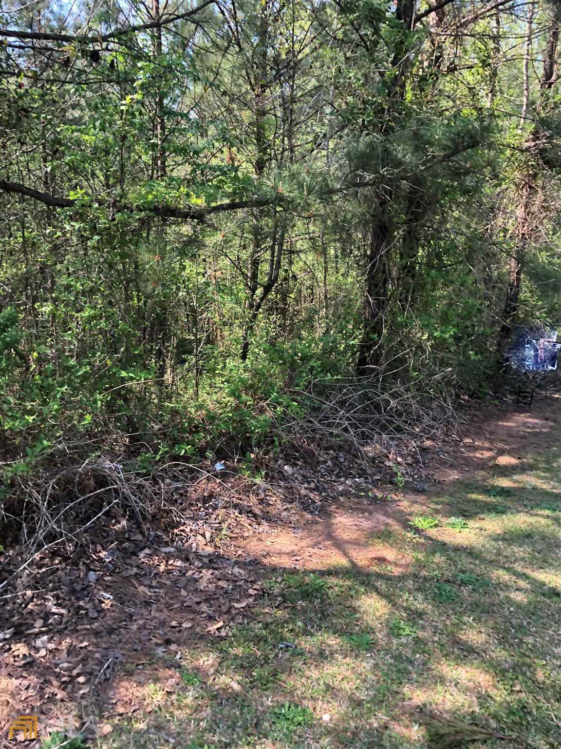 0 Ashley Woods Drive - Photo 1