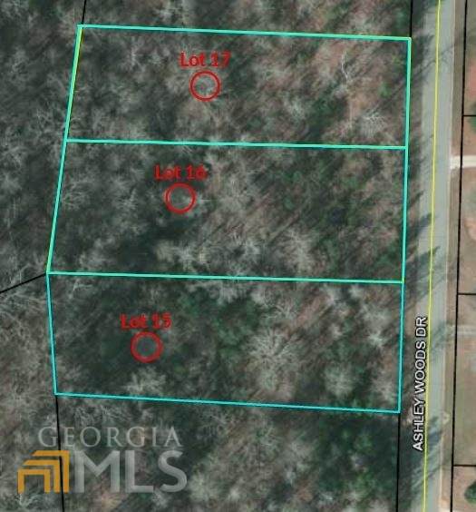 0 Ashley Woods Drive - Photo 1