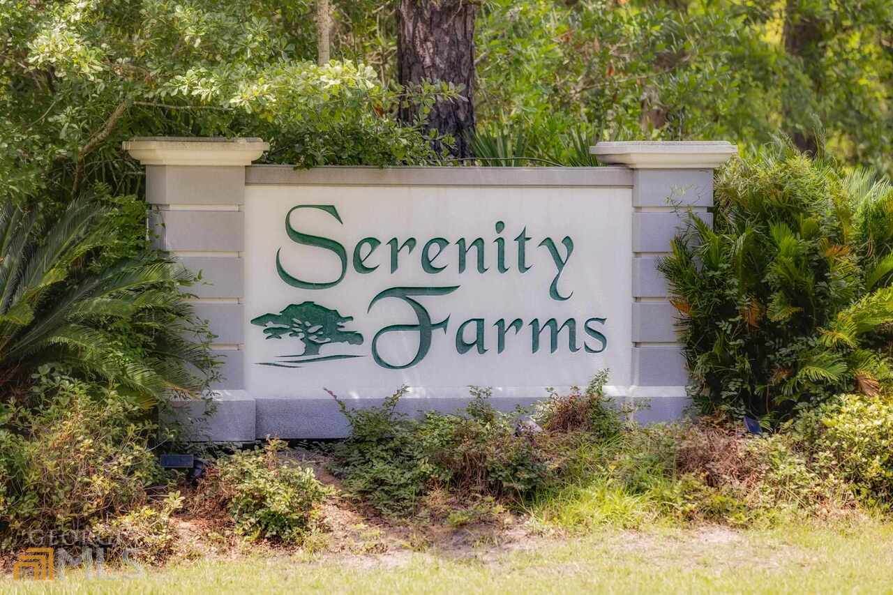 0 Serenity Farms Road - Photo 1