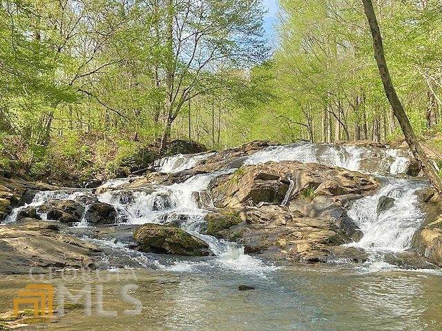 0 Clay Creek Falls Road - Photo 1
