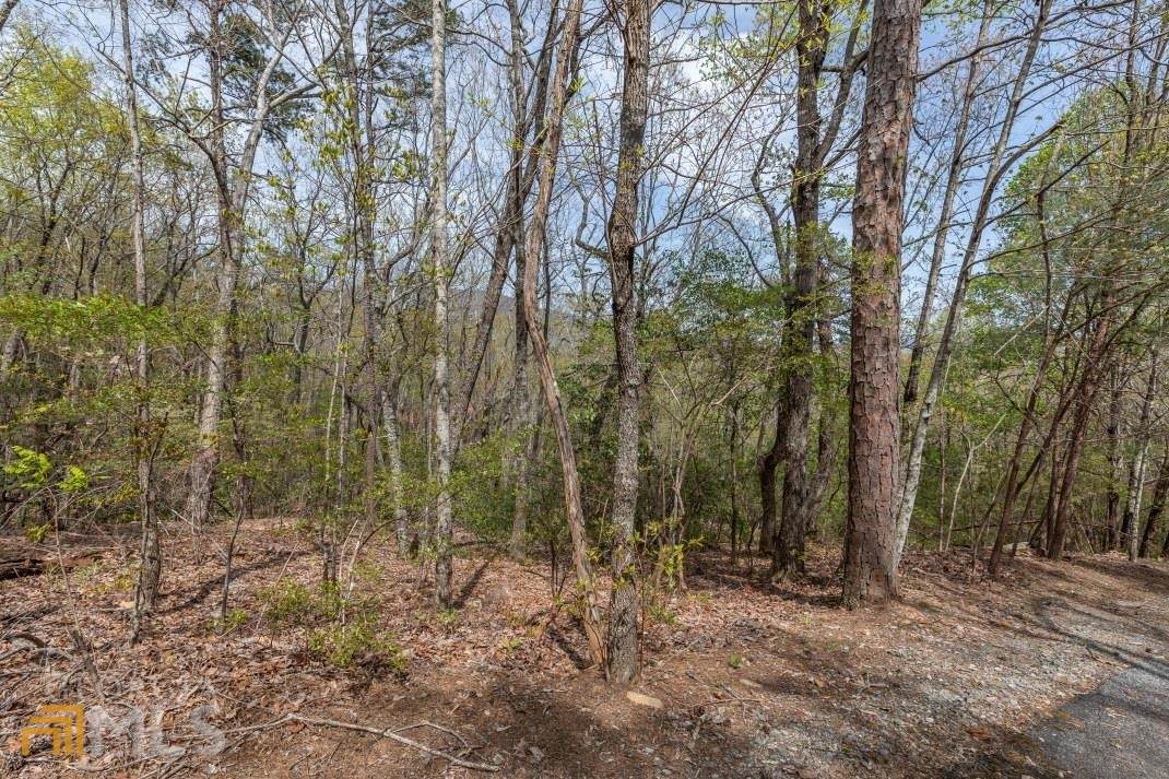 LOT 59 Big Creek Mountain - Photo 1