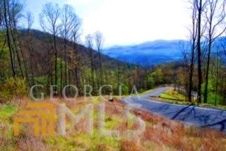 0 The Overlook At Yh - Photo 1