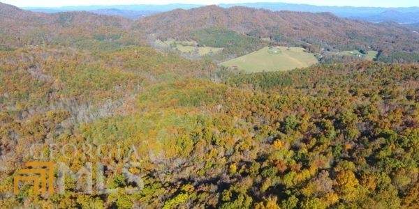 0 Royal Oaks Trail - Photo 1