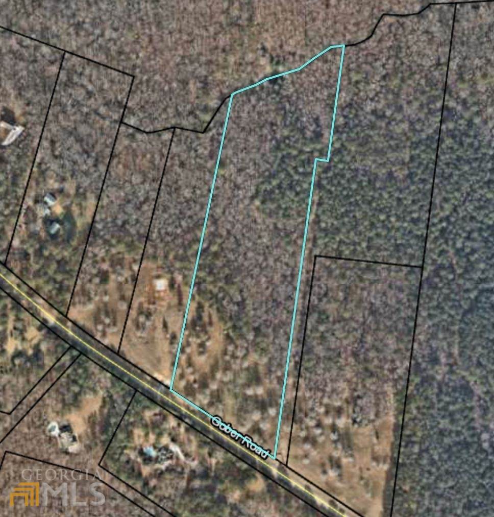 00 Gober Road Road - Photo 1