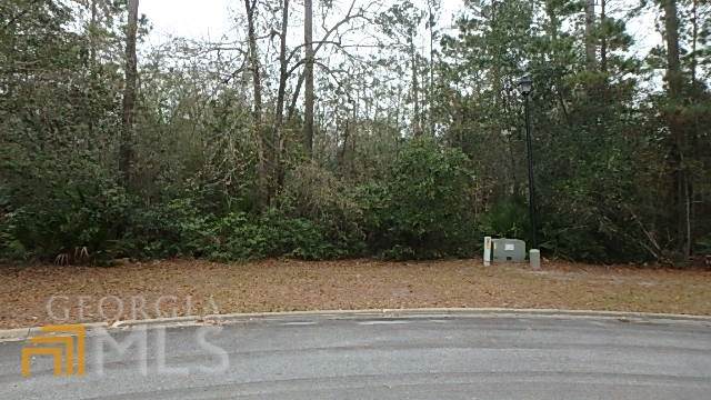 V/L 82 Heron Point Lane - Photo 1